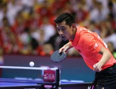 开云体育下载-瑞典队完胜葡萄牙队，张继科扛起全队