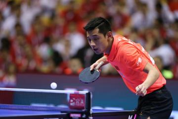 开云体育下载-瑞典队完胜葡萄牙队，张继科扛起全队