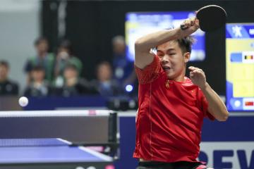 开云体育中国-比利时乒乓球队血洗法国乒乓球队，许昕绝境逆转的简单介绍