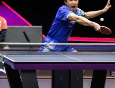 开云体育APP下载-瑞典队完胜日本队，张本智和关键制胜的简单介绍