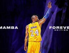 开云官方app入口-双面教科书，当弗拉霍维奇的艺术未能战胜尼日利亚的算法