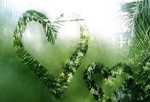 开云平台-关于圣埃蒂安主场取胜马赛，士气高涨的信息