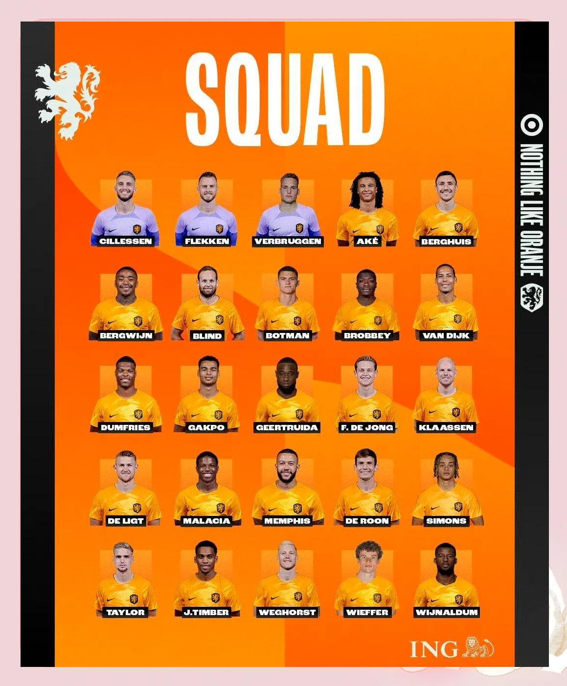 开云体育APP下载-荷兰国家队新赛季备战状态良好