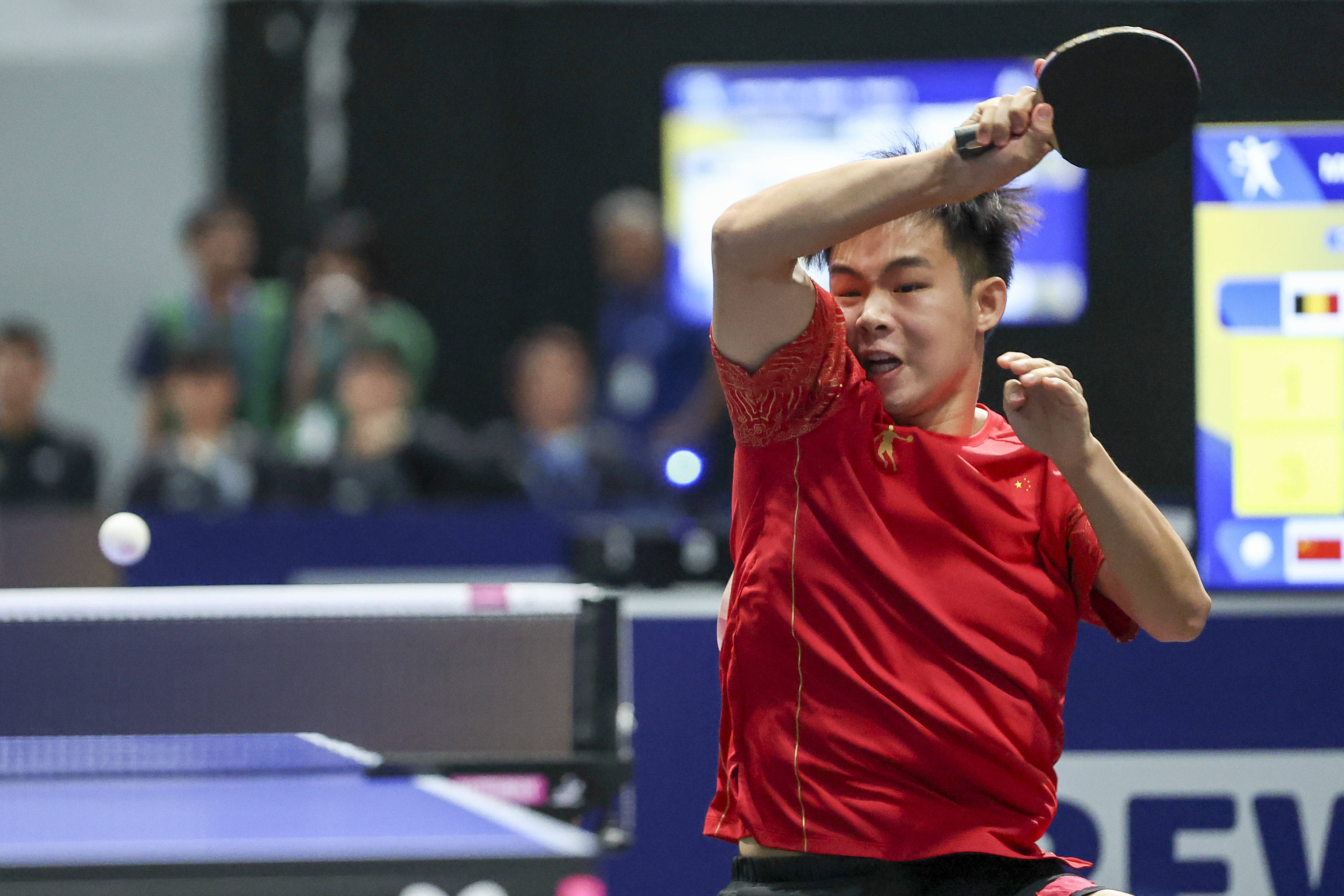 开云体育中国-比利时乒乓球队血洗法国乒乓球队，许昕绝境逆转的简单介绍