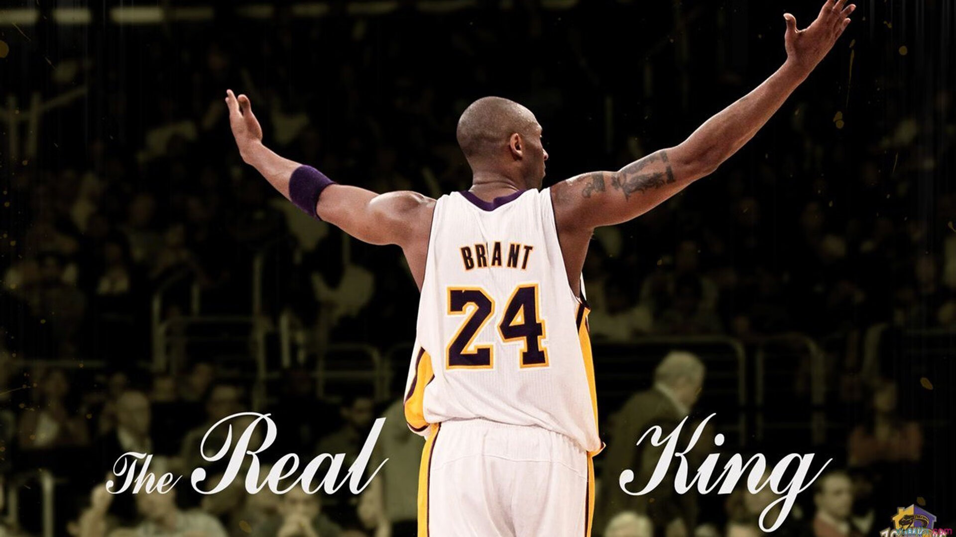 开云APP-太阳沉没，狐狸升起，福克斯接过凤凰城权杖的致命黄昏